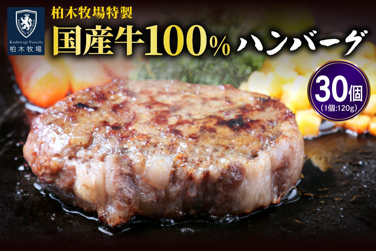 
            [ジュワッと肉汁まで美味い！] 柏木牧場特製 国産牛100%ハンバーグ (120g×30個)｜伊勢原市 牛肉 特製 ギフト 神奈川県 贈り物 人気 お土産 正月 肉の日 バーベキュー パーティ 冷凍便 惣菜 肉 焼くだけ [0069]
          