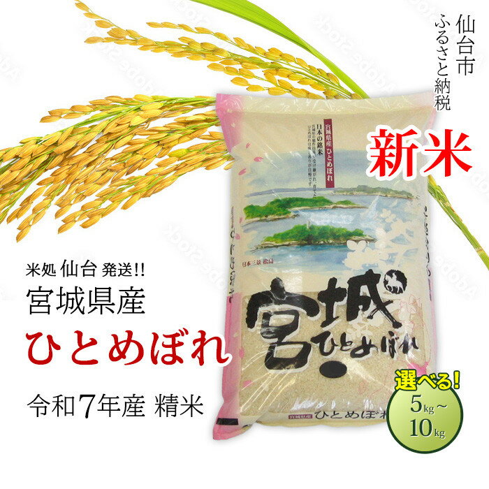 【ふるさと納税】【宮城県産 ひとめぼれ】令和7年度産 精米 ＜ 選べる内容量 5kg ／ 10kg ＞ 米 お米 こめ コメ ご飯 ごはん】 | お米 こめ 白米 食品 人気 おすすめ 送料無料