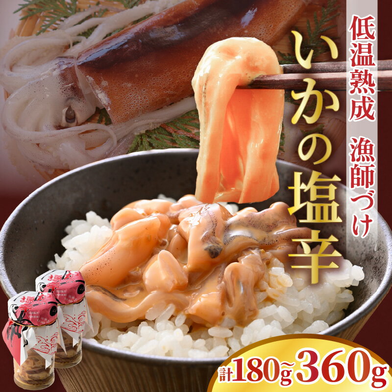 【ふるさと納税】 イカの塩辛 【選べる内容量：180g / 360g】1パック：90g 低温熟成 漁師づけ いか イカ 烏賊 スルメイカ 塩辛 漬け 熟成 ご飯のお供 おつまみ 肴 魚 冷凍 小分け】