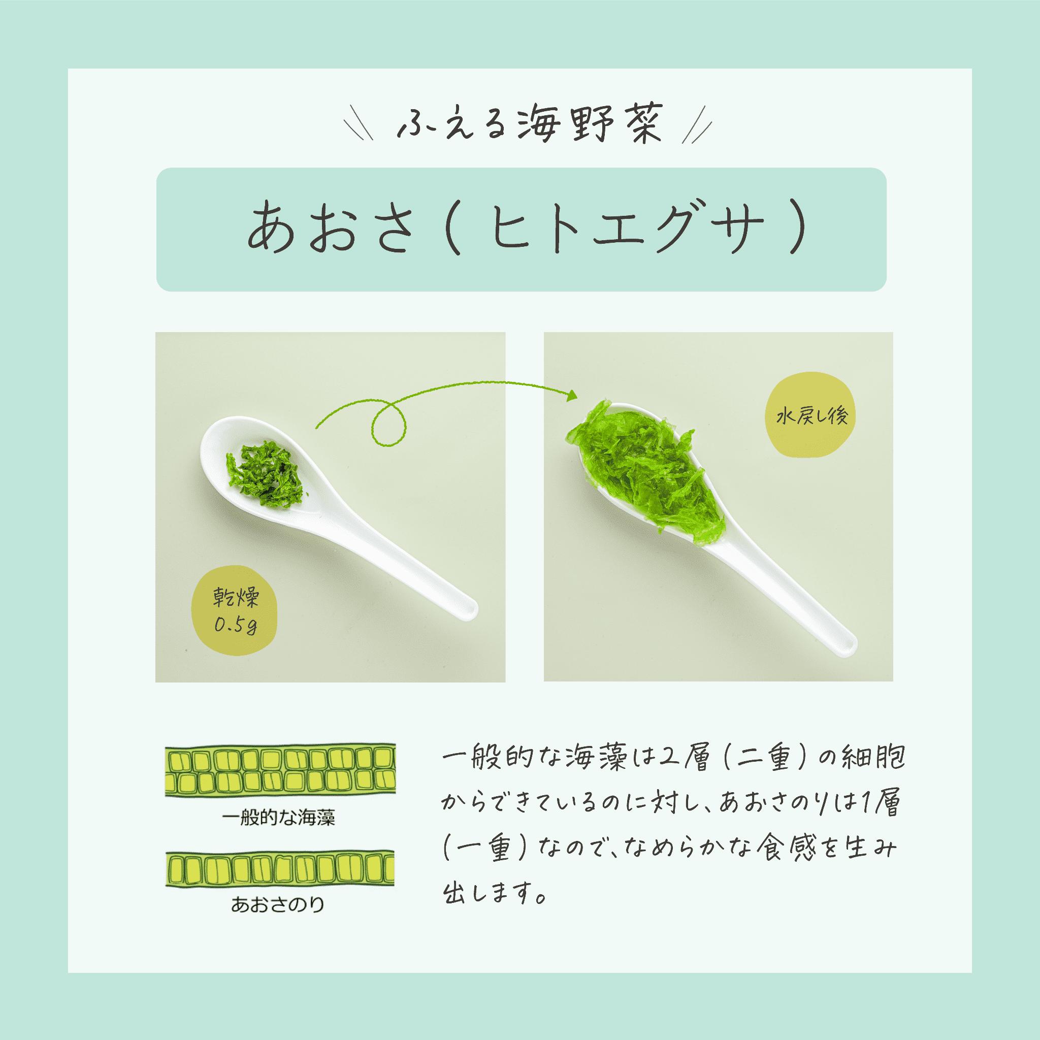 海の緑黄色野菜 あおさ（ヒトエグサ）（乾燥） 15g×2袋