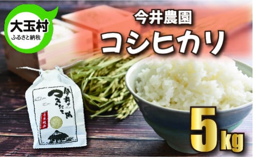 【 先行予約 】 【 令和6年産 ・ 新米 】 【 今井のつきたて米 】 コシヒカリ ５ｋｇ【OT08-002-R6】 こしひかり 福島県 大玉村 精米 今井農園