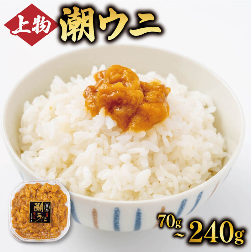 【ふるさと納税】 ミョウバン不使用 上物 潮ウニ 選べる 70g~240g 冷凍 雲丹 うに 寿司 汐うに 塩うに 海鮮 魚貝類 魚介類 キタムラサキウニ 小分け 塩水 天然 刺身 ウニ丼 ご飯 白米 おつまみ お取り寄せ グルメ ご当地グルメ 名物 三陸産 岩手県 大船渡市 送料無料 10000円