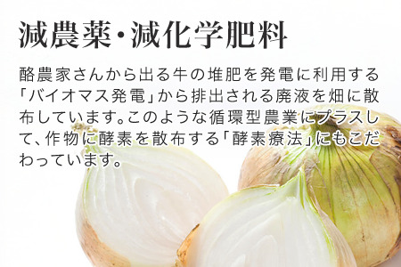 【令和8年産予約受付】玉ねぎ 5kg 北海道産玉ねぎ 本山農場