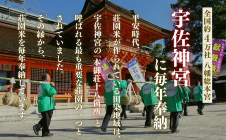 F-19 荘園米 10kg 米 お米 精米 ひのひかり ヒノヒカリ