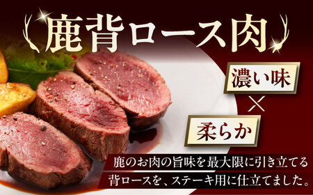 【全6回定期便】鹿肉 背ロース 4枚  ジビエ 赤身 冷凍配送 北海道 [AJAO038]