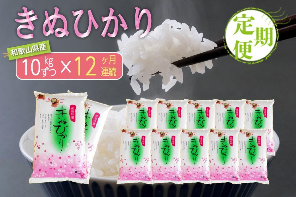 ［お米の定期便／全12回］和歌山県産キヌヒカリ 120kg(10kg×12) 2025年産［SL24］