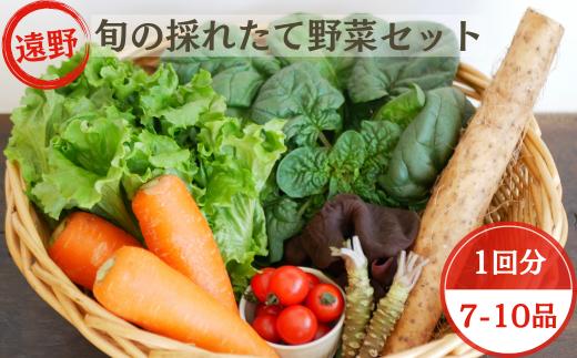 
旬の採れたて野菜の詰め合わせセット（7〜10品）〜いっぺ食べろよ〜【こんたでぃーの遠野】
