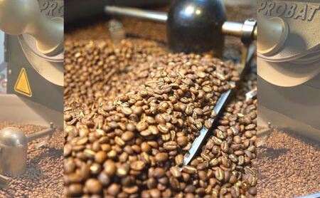 ロースターズセレクト 150g×3種類のおすすめスペシャルティコーヒー ドリンク コーヒー スペシャルティコーヒー 豆