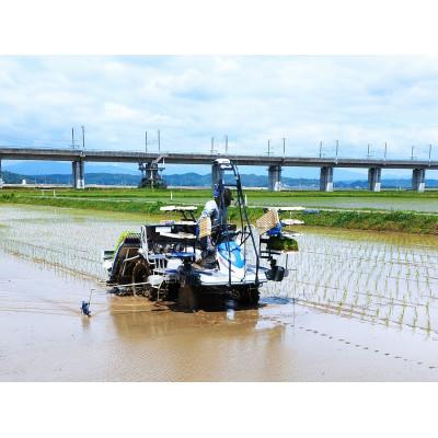 ふるさと納税 一関市 有機JAS認証「ササニシキ玄米」5kg |  | 01