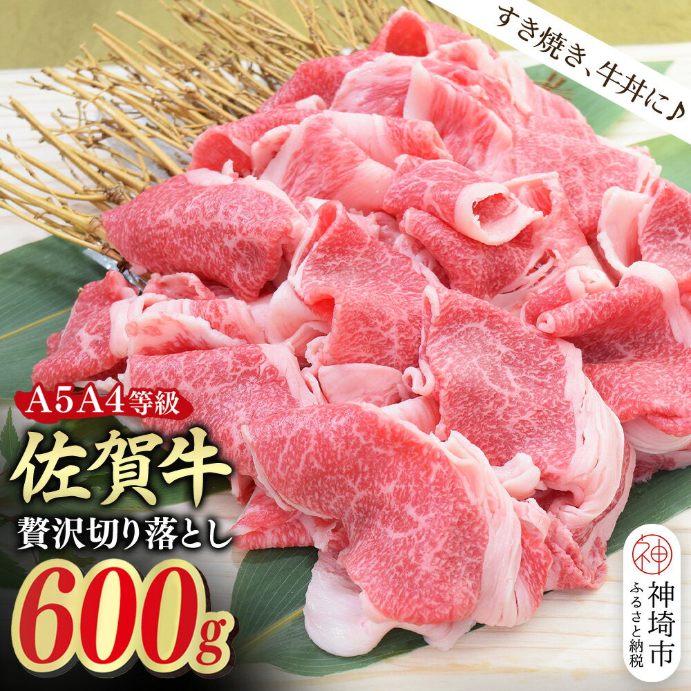 【ふるさと納税】佐賀牛 贅沢 切り落とし 600g【A4～A5ランク】【すき焼き しゃぶしゃぶ 牛丼 A5 A4 希少 国産和牛 牛肉 肉 牛】(H085208)