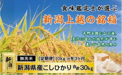 
                  令和7年産 食味鑑定士厳選 新潟県産こしひかり 無洗米 10kg 3か月定期便 上越市 米 コメ コシヒカリ
                