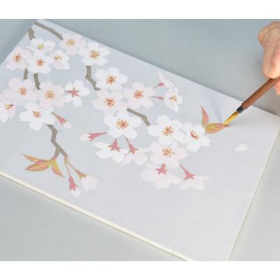 ふるさと納税 宇治市 日本画をたのしもう　さくら編　筆なし |  | 01