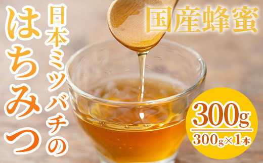 【数量限定】国産はちみつ 非加熱 瓶入り 300g×1本 ニホンミツバチ から分けてもらった 無添加 百花 の 純粋蜂蜜♪【A-895H】