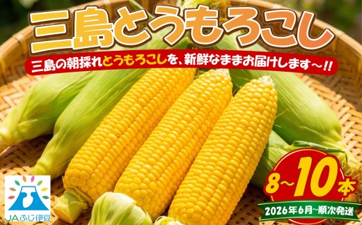【先行予約2026年6月上旬より順次発送】 三島 とうもろこし 8本～10本 野菜 夏野菜 トウモロコシ コーン 朝採れ 新鮮 甘い 自然 おいしい 美味しい おすすめ 特産品 名産 贈り物 ギフト みしまるかん JA 三島市 静岡県