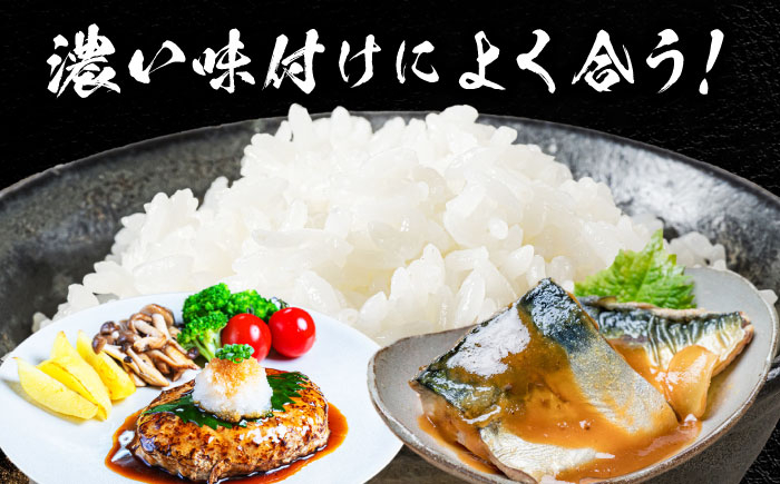 コシヒカリ 白米 10kg×6回 定期便 新米 令和6年度産