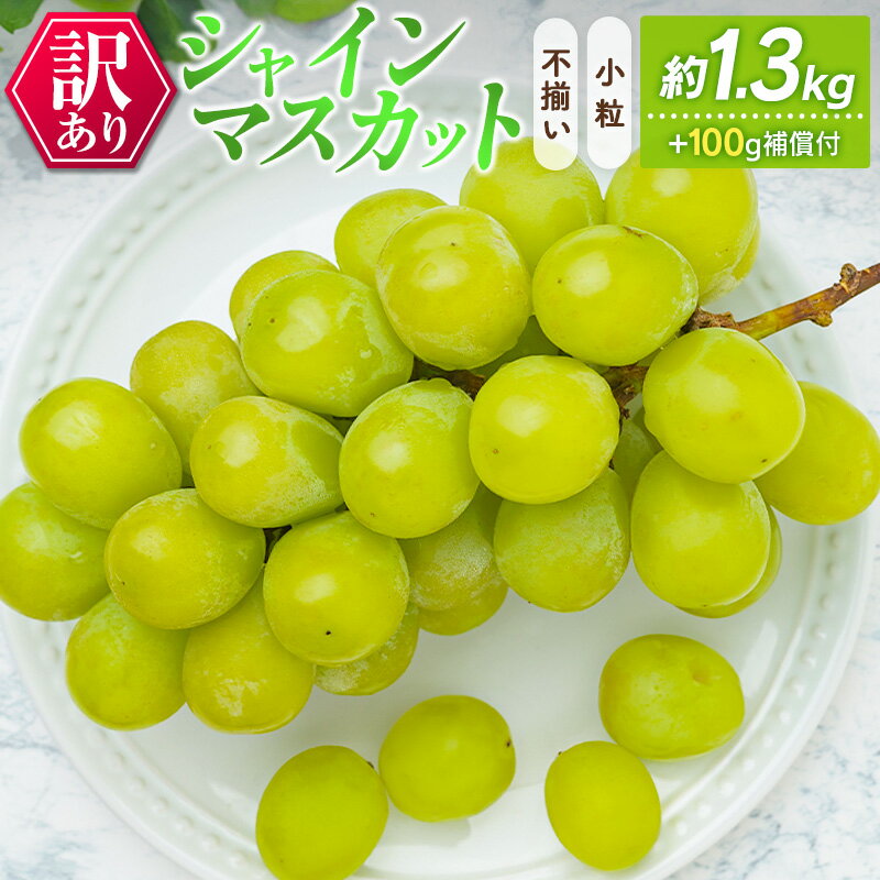 【ふるさと納税】訳あり［不揃い・小粒］シャインマスカット 4パック 約1.3kg+100g補償付 ご家庭用 宮崎県新富町産 製菓用