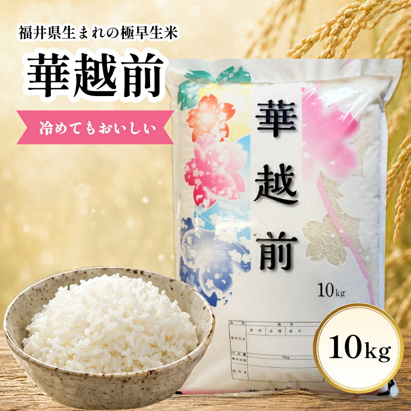 【ふるさと納税】華越前 （ハナエチゼン） 精米 令和8年度産 福井県 越前市産 極早生米 10kg / 送料無料 福井県 越前市 米 2026年度産 新生活(18209)