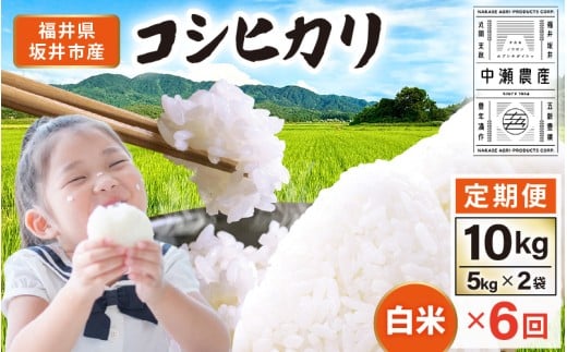 【先行予約】【令和8年産・新米】 定期便 ≪6ヶ月連続お届け≫ 坂井市産 コシヒカリ 白米 10kg (5kg×2袋)×6回 計60kg (中瀬農産) 【2026年10月以降順次発送予定】 【米 こめ お米 精米 ブランド米 こしひかり 国産】 [K-20504]