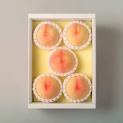 【先行予約】岡山県産　岡山白桃５～７玉①（約1.5㎏）