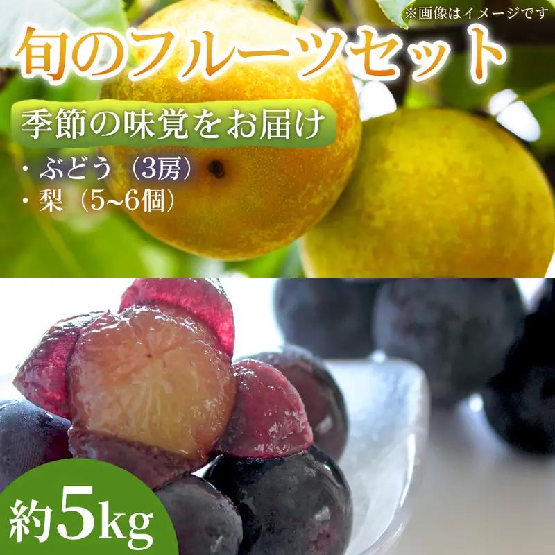 【季節の味覚をお届け】熊本県産 フルーツ詰合せ ぶどう(3房)・梨(5～6個)約5kg×1セット ぶどう 梨 フルーツ 詰め合わせ 食べ比べ 甘い 濃厚 農家直送 ギフト 贈答用 家庭用 お取り寄せ 