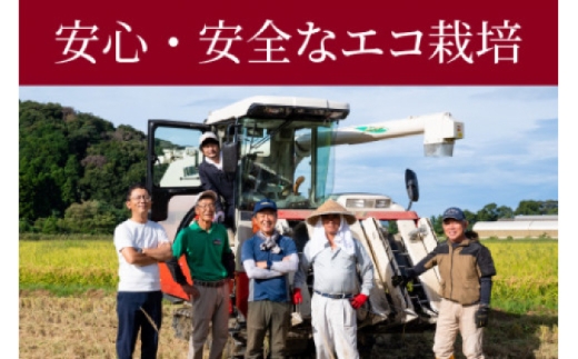 【 先行予約 /10月以降配送】【令和7年産】福井県産コシヒカリ「千石」 10kg 小浜市 / 千石の郷 [BFCA001]