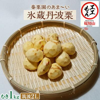ふるさと納税 福知山市 秦栗園のあま〜い氷蔵丹波栗 筑波2L むき1kg【熟成】大粒 11月中旬発送