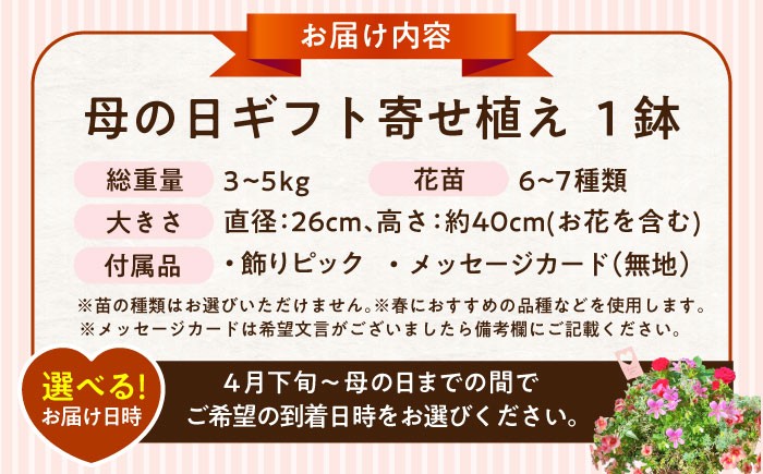 母 花 華 よせうえ 鉢  ペチュニア系 カリブラコア・ブラキカム・ヘデラ リーフ系・ニチニチソウ  熊本 菊陽町