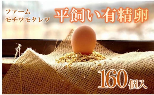 
            ファームモチツモタレツの平飼い有精卵（160個入） 【 卵 たまご タマゴ 玉子 卵焼き オムレツ 卵かけご飯 ゆで卵 鶏卵 卵黄 生卵 平飼い 長沼町 北海道 】
          
