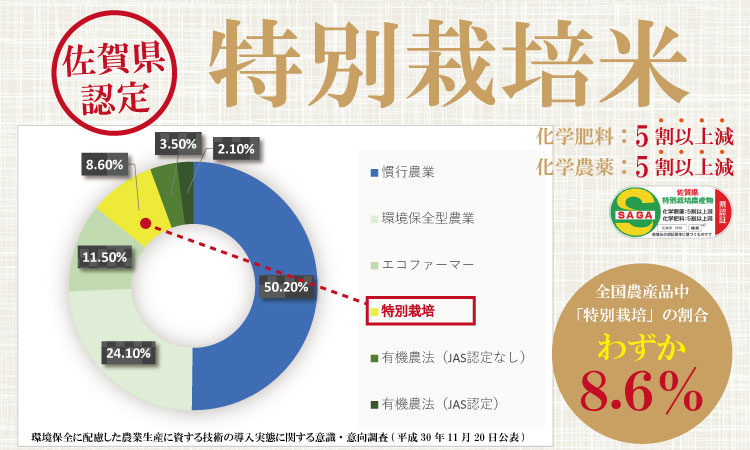 【新米予約】R７年度産（令和７年）特別栽培米 佐賀ブランド 米「 さがびより 」10kg（5kg×2袋）田中農場 精米 白米 10キロ 単位 もちもち 食感 冷めても 美味しい お一人様 ご家族用 ラ