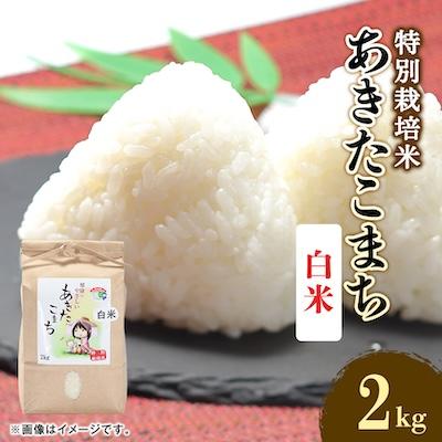 ふるさと納税 大潟村 令和7年産　特別栽培米あきたこまち　白米2kg