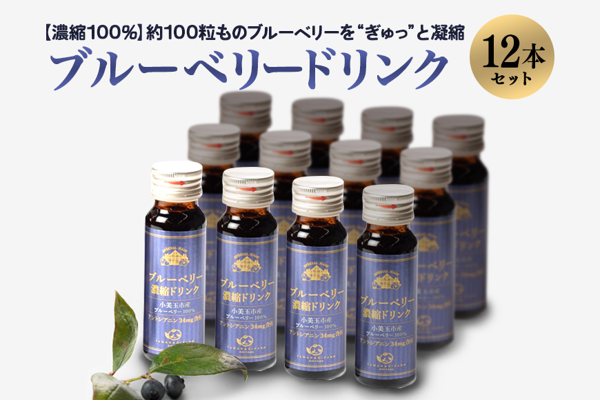 濃縮100％ブルーベリードリンク 9-E