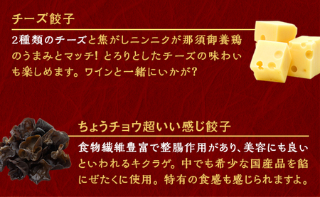 『定期便』宇都宮餃子　鶏餃子3種類味比べ(合計60個)　保存料不使用　全12回【配送不可地域：離島】