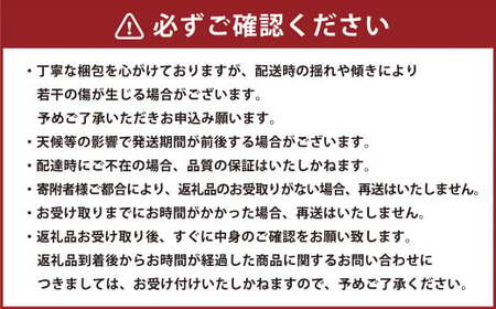 《 母の日 》 小玉スイカ1玉とカーネーション1鉢 【2026年5月上旬発送（母の日）】 先行予約 果物 スイカ 花 カーネーション 贈答 ギフト 贈り物