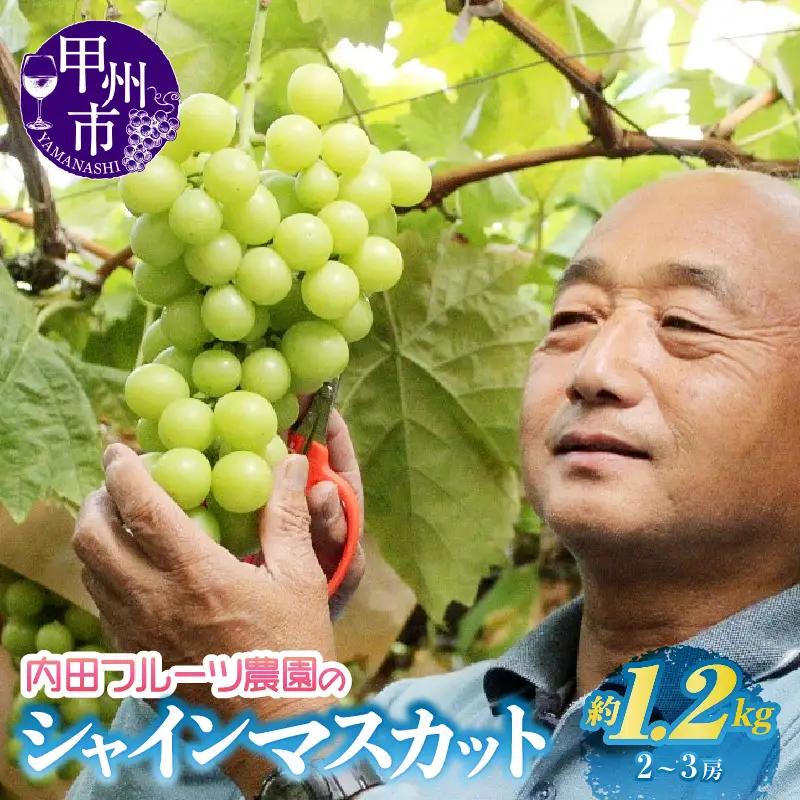内田フルーツ農園のシャインマスカット 約1.2kg（2～3房）【2026年発送】（UF）B-164 シャインマスカット フルーツ