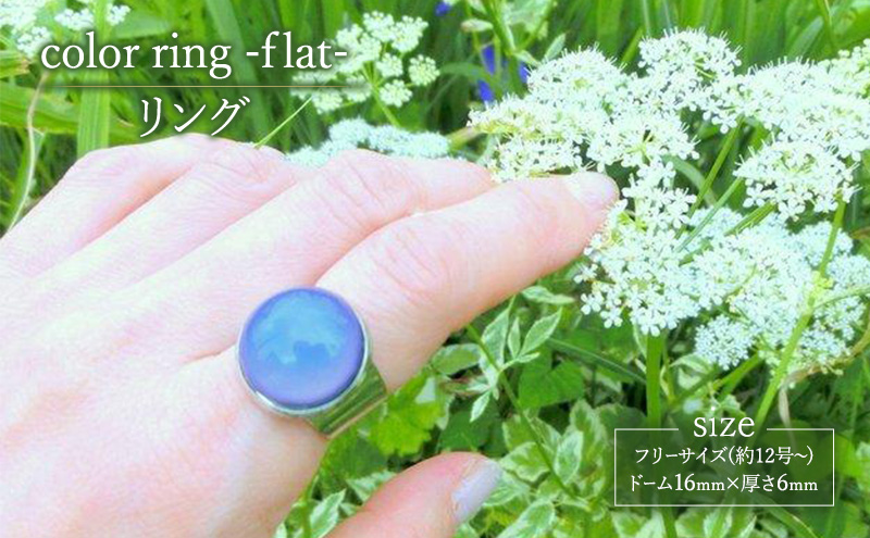 color ring -flat- リング 指輪 アクセサリー 1個 【シンプル  グラデーション スカイブルー グリーン イエロー パープル ピンク 可愛い ハンドメイド 手作り  職人 上品 大人な雰囲気 ギフト プレゼント ラッピング 結婚式 普段使い】