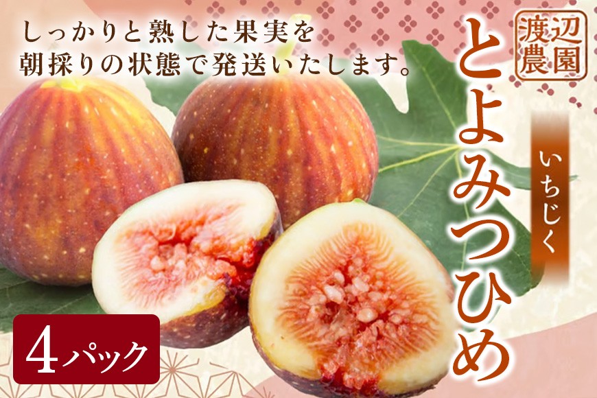 
                  【先行予約】渡辺農園 いちじく (とよみつひめ) 4パック 【2026年8月上旬～2026年9月中旬 出荷予定】 フルーツ 果物 果実 常温 送料無料 福岡県 うきは市
                