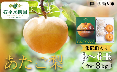 あたご梨 3～6玉 約3kg 化粧箱【先行予約 2025年11月中旬から順次発送】