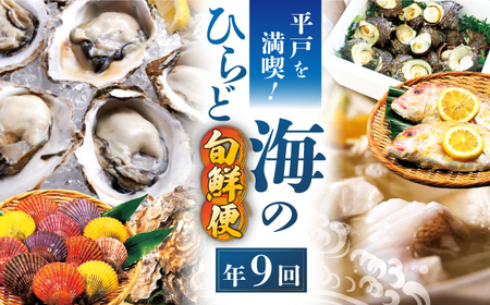 【9回定期便】平戸を満喫！海のひらど旬鮮便【株式会社ひらど新鮮市場】[KAB115]