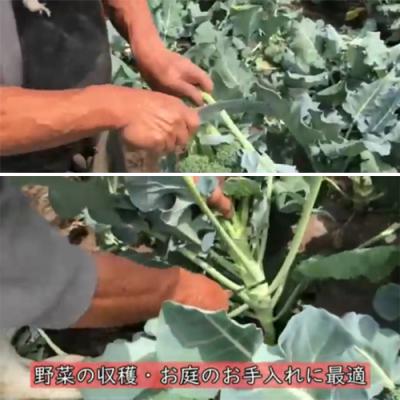 ふるさと納税 関市 万能収穫鎌 |  | 03