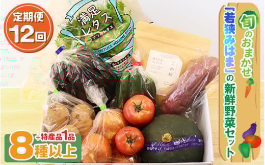 定期便 《12ヶ月連続お届け》旬のおまかせ 「若狭みはま」の新鮮野菜セット 8種以上＋特産品1品 【ふるさと納税 春野菜 夏野菜 秋野菜 冬野菜 定期便 定期 やさい 野菜 セット 詰合せ 大容量 産地直送 旬 新鮮 採れたて おススメ 人気 】 [m66-l001]