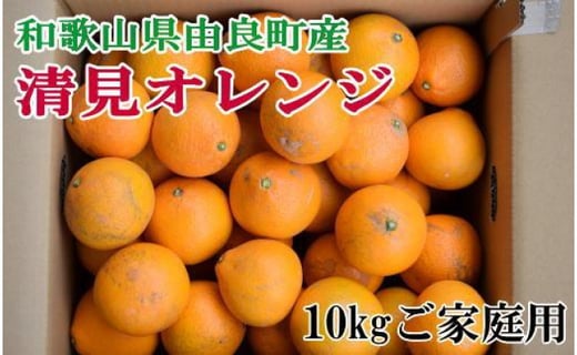 
            ［訳あり・ご家庭用］和歌山由良町産の濃厚清見オレンジ約10kg★2026年2月中旬頃より順次発送［TM132］
          