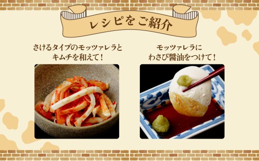 チーズ お試しチーズ4種セット | チーズ セット チーズ詰め合わせ チーズ 工房 モッツァレラ カチョカバロ 珍しい 牛 生乳 さけるチーズ ハードチーズ 自家製 手作り 詰合わせ お取り寄せ 人気 保存料不使用 お歳暮 プレゼント 贈答 ギフト 食べ比べ 母の日 群馬県 前橋市