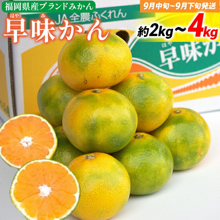 【ふるさと納税】《先行予約》期間限定 みかん 福岡県産ブランド 「早味かん」 フルーツ 返礼品 お取り寄せグルメ お取り寄せ グルメ 果物 2~4kg 南国フルーツ CO-S0007 CO016 CO017