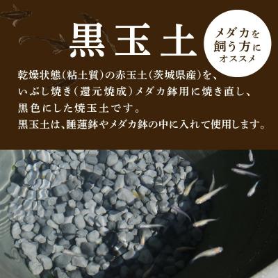 ふるさと納税 碧南市 黒玉土1リットル　めだか鉢 金魚鉢 メダカ 鉢 陶器 睡蓮 多孔質土　H100-085 |  | 01