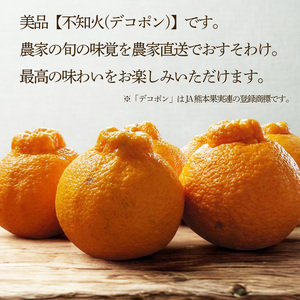 【2027年3月上旬頃から順次発送】  不知火(デコポンと同一品種) 美品 約 2.5kg | 不知火(デコポンと同一品種) 美品 約 2.5kg |みかん ミカン 柑橘 蜜柑 果物 くだもの フルー