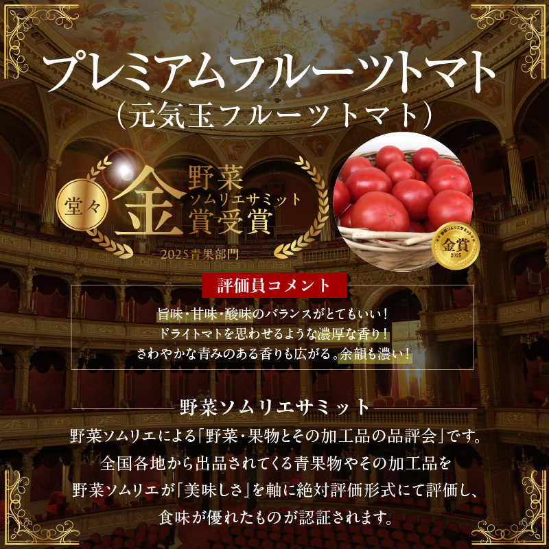 【2026年度予約分】【お試し】期間限定！プレミアムフルーツトマト 野菜ソムリエサミット 金賞 受賞 長田農園 産地直送 トマト とまと 野菜 やさい フルーツ サラダ 濃厚 甘い ご褒美 プレゼント