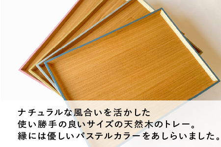 カラーリング トレー　錆御納戸（さびおなんど）