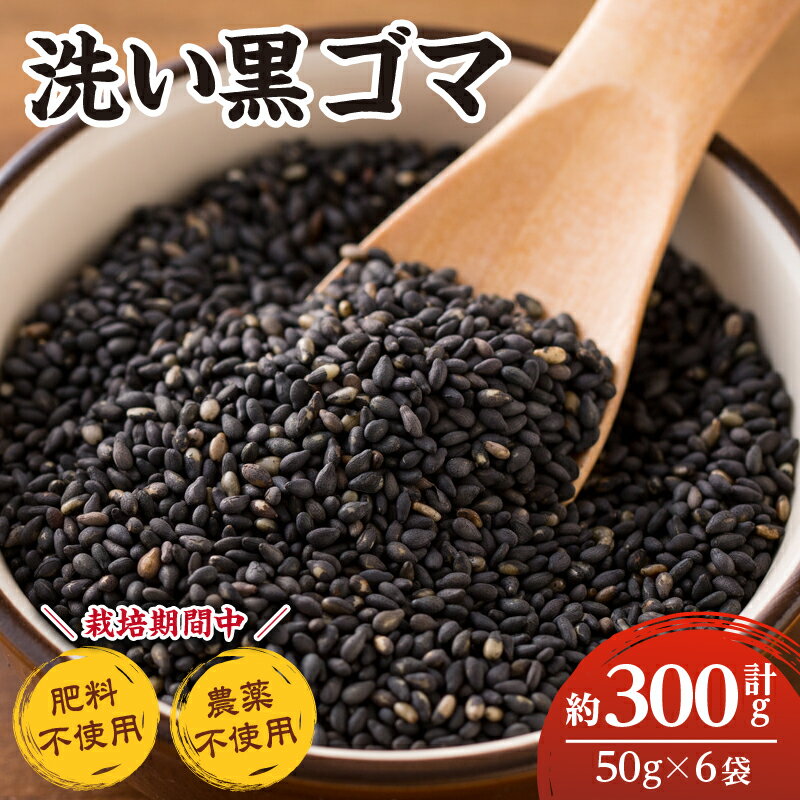 【ふるさと納税】 洗い黒ゴマ50g入り6袋セット 千葉県 南房総市 手作業 乾物 チャック付き 袋 すりごま 日照りゴマ 未焙煎 ふりかけ 薬味 和食 お弁当 団子 穀物 食品 調味料 お取り寄せ 国産 送料無料