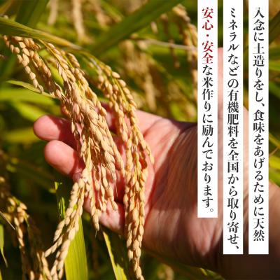 ふるさと納税 徳島市 先行予約【令和8年産 新米】こしひかり 5kg(農薬・化学肥料不使用)【BU004】 |  | 01