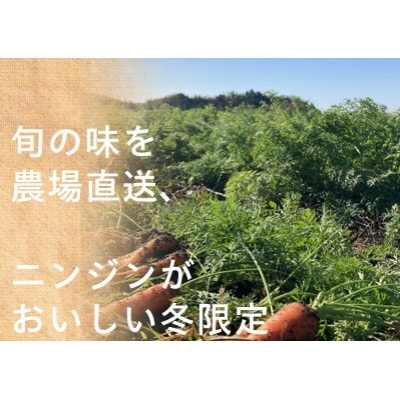 有機ニンジン　栽培期間中農薬不使用　有機JAS認証　冬季限定(12～3月発送)【配送不可地域：離島・北海道・沖縄県】